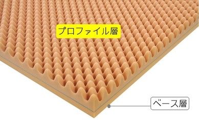 ｗａｖｅ-ｔ-shi-ki-フロア用-イメージ図